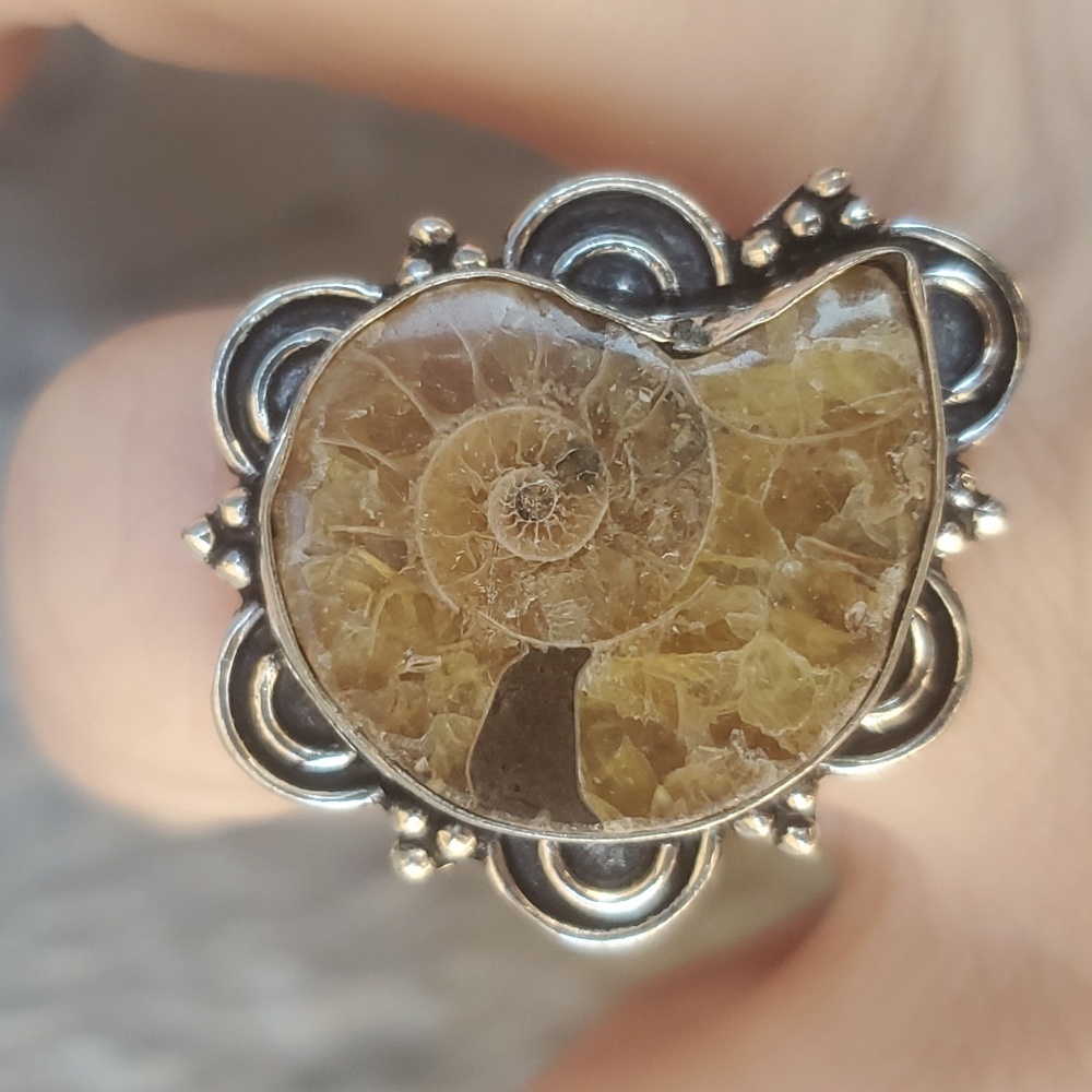 New Unique Ammonite 925 Silver Ring.